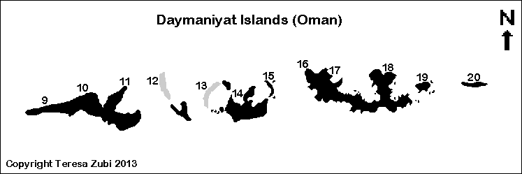 Central Daymaniyat islands (Qesmah, Wlad Al Qurfah, Al Qurfah), Oman