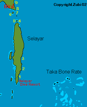 Map of Sealayar and Bira (Indonesia)