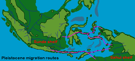 Map Wallacea - migration routes between Australasia and Asia through the Wallacean islands