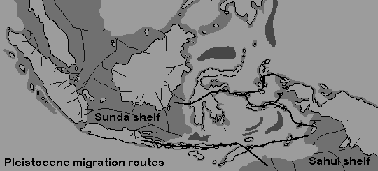 Wallacea - Migration routes during the ice age