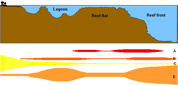 level of variety in animal species in different habitats (reef front, reef flat, lagoons)