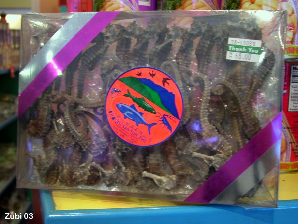 Dried seahorses for sale