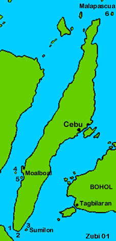 Diving In Cebu Visayas Philippines