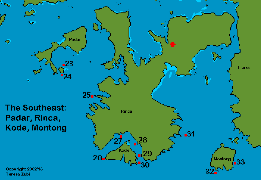 Map Komodo Dragon Island