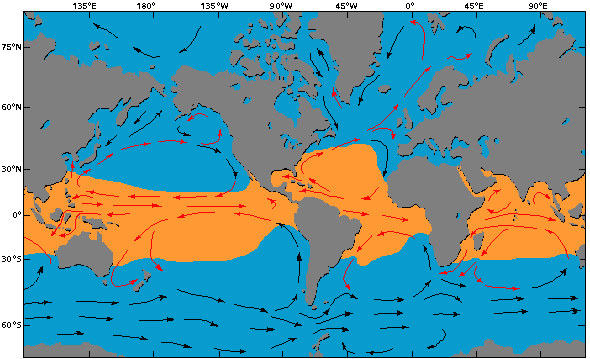 Karte: Warme und kalte Meeres-Strömungen auf der Erde