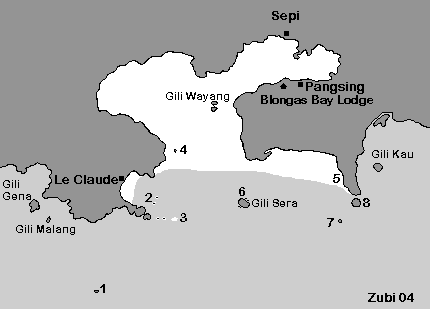 Map of Bllongas Bay in south Lombok with dive sites