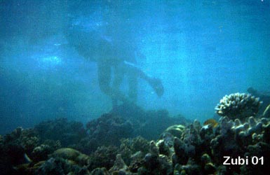 Trampelnde Touristen auf Korallen